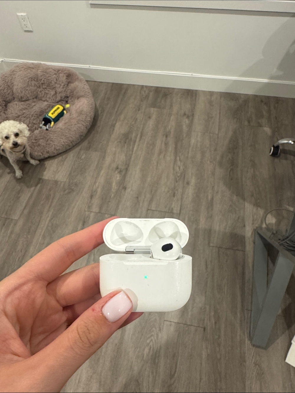 One AirPod w case White True Wireless Earbuds with Charging Case